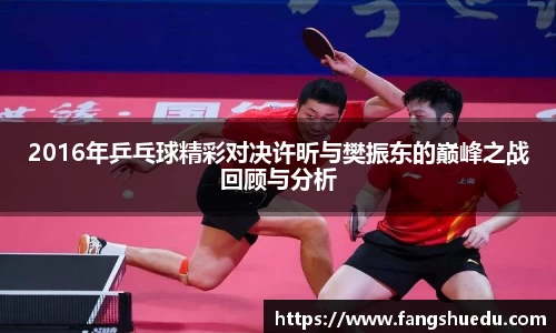 2016年乒乓球精彩对决许昕与樊振东的巅峰之战回顾与分析